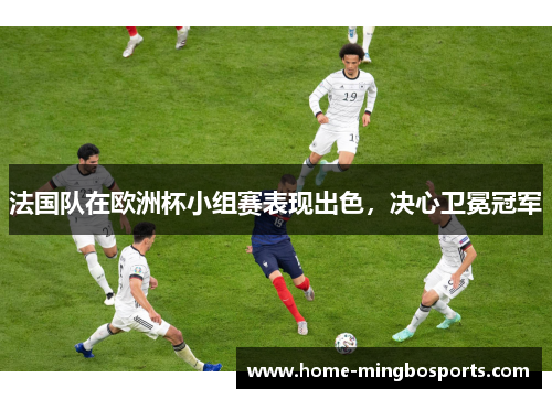 法国队在欧洲杯小组赛表现出色，决心卫冕冠军